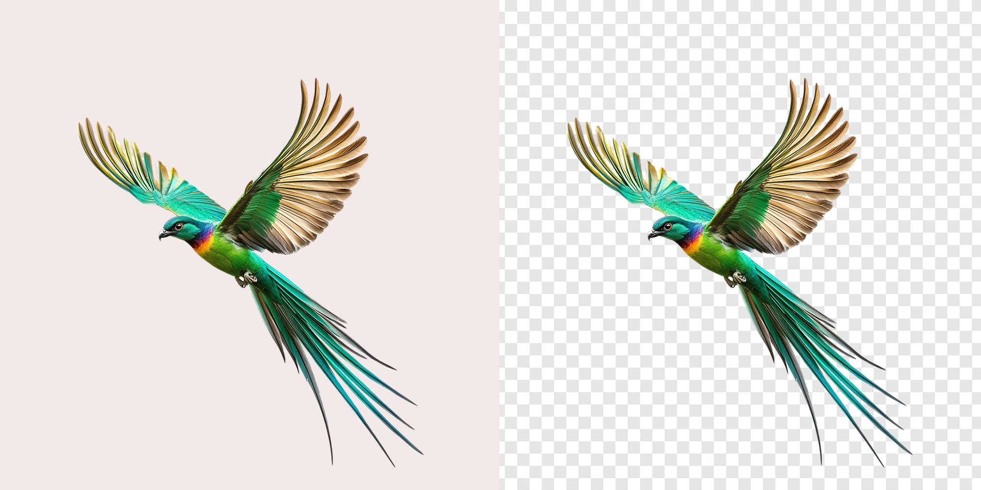 Best CMS Website Design Services in Bangladesh